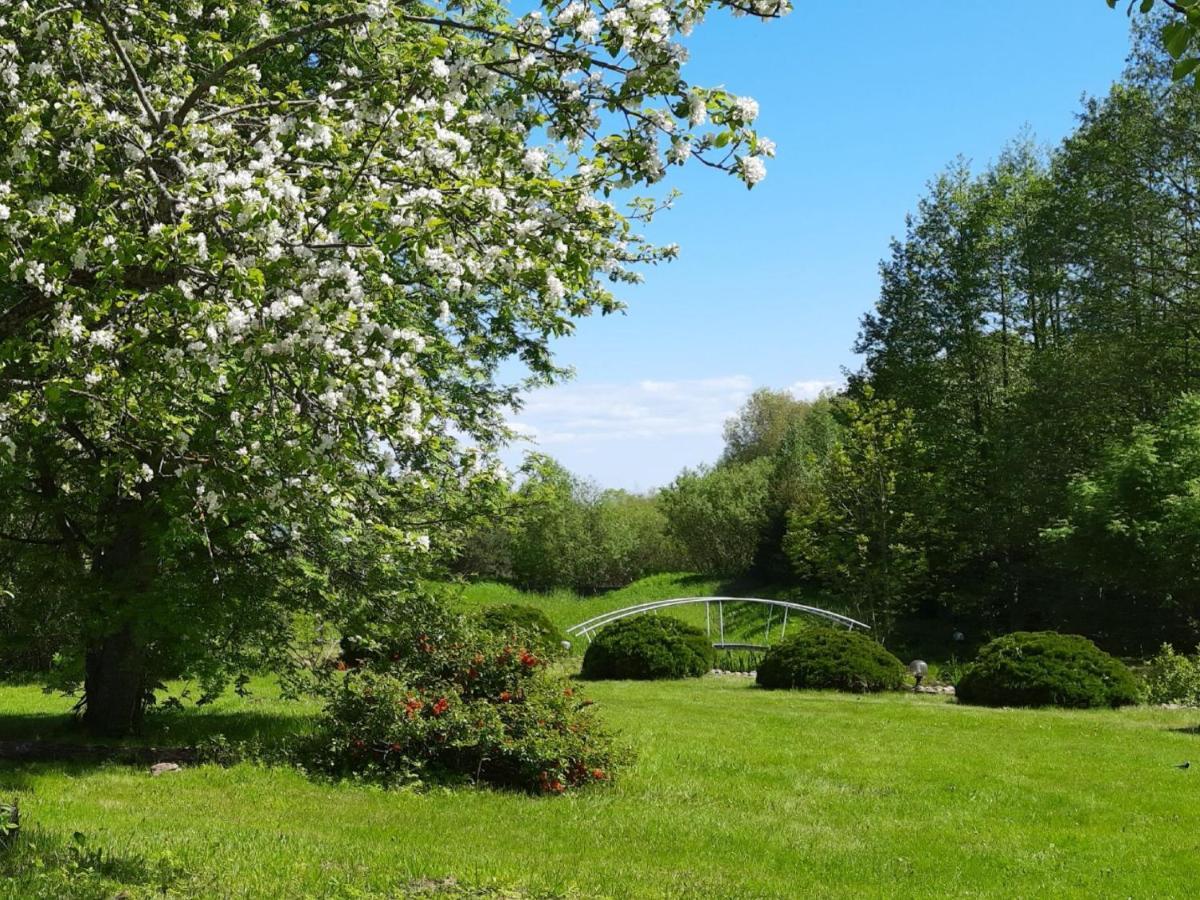 Willipu Guesthouse Alatskivi ภายนอก รูปภาพ