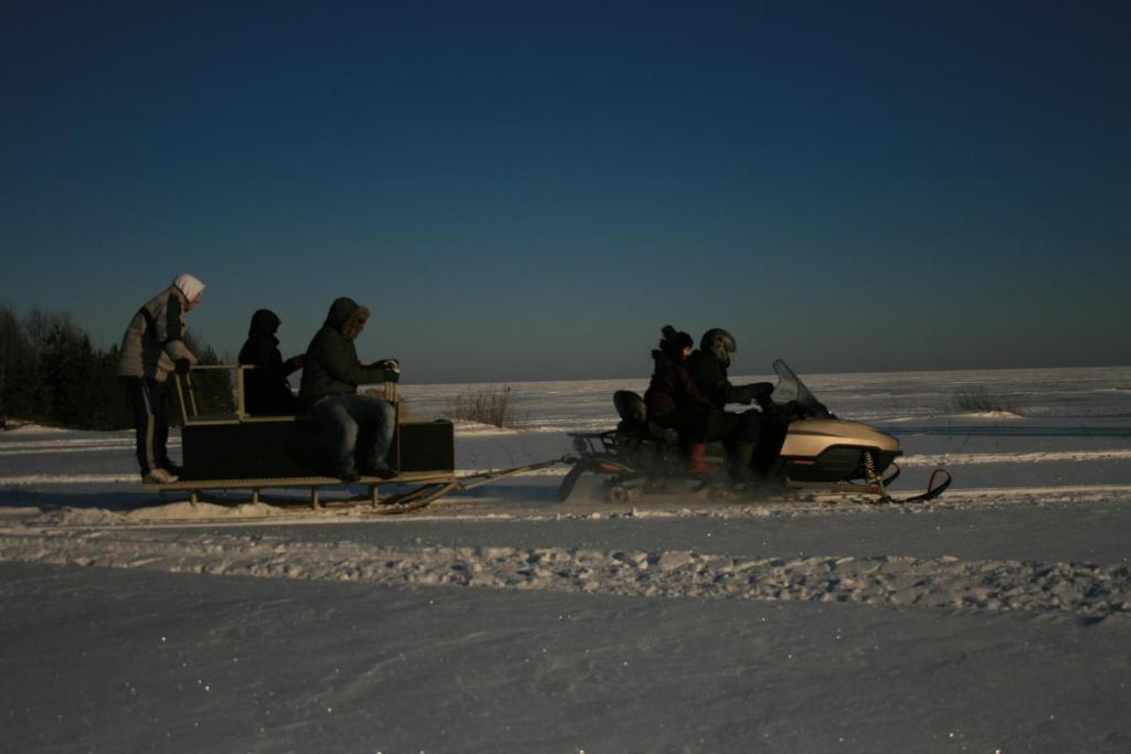 Willipu Guesthouse Alatskivi ภายนอก รูปภาพ